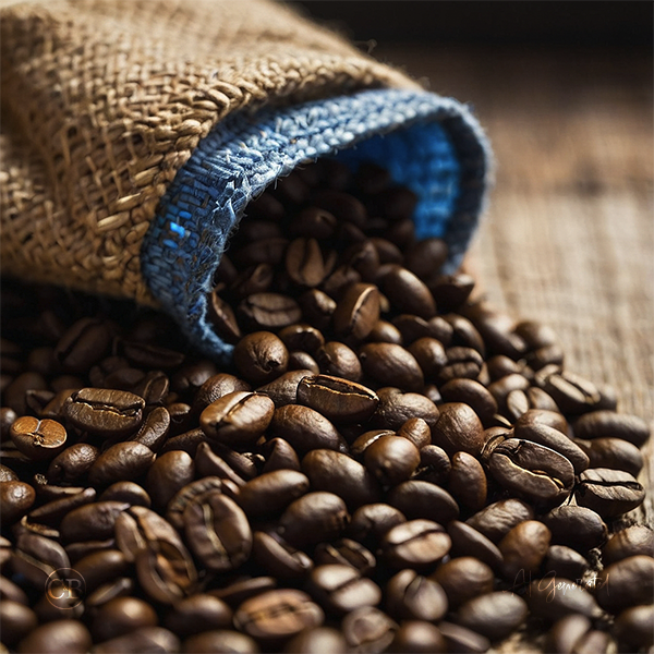 Forge Blend Beans