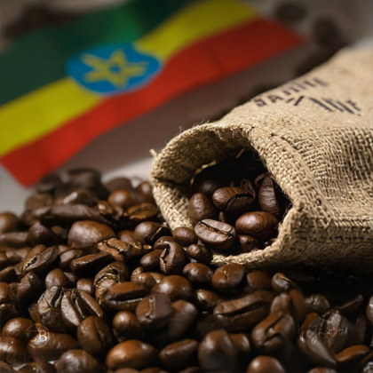 Single Origin Ethiopia